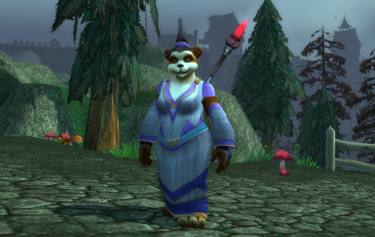 I put on my robe and wizard hat....