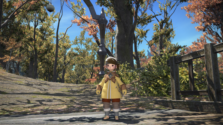 ffxiv_08272013_225244