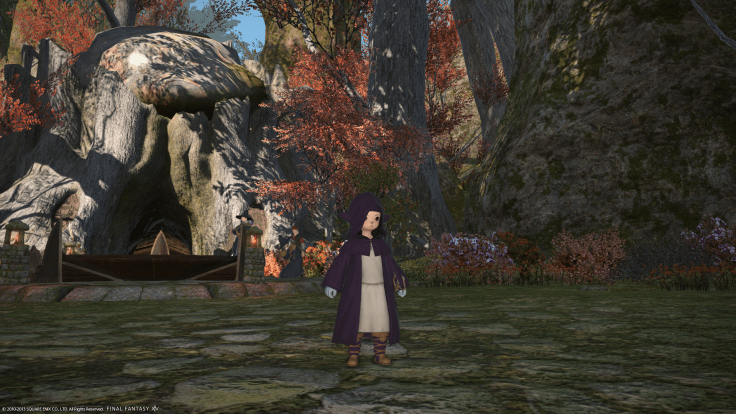 ffxiv_09052013_174901