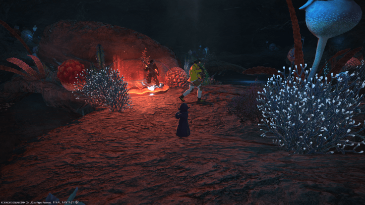 ffxiv_09052013_212058