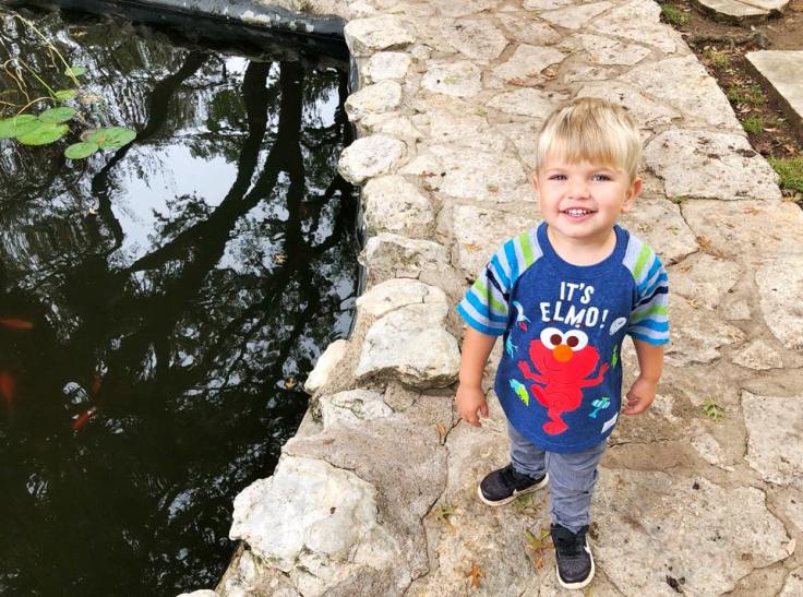 23434915_10100167893074174_8450140685673527628_n